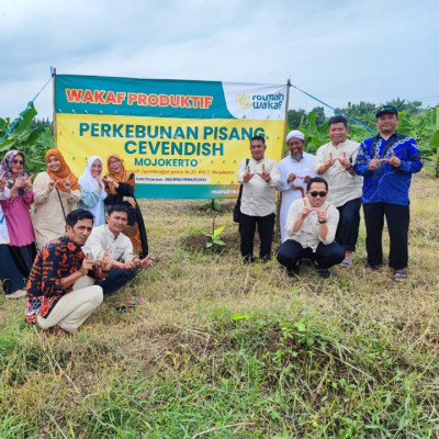 Tinjau Wakaf Produktif, BWI Sulbar Sambangi Kebun Cavendish Roumah Wakaf