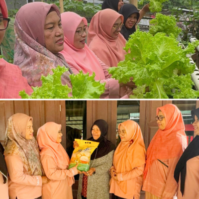 Pelatihan Menanam Hidroponik dan Bakti Sosial oleh Dharma Wanita Persatuan Kemenag Mamasa