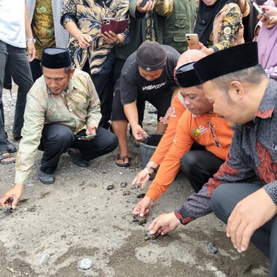 Rakerda IPARI Majene Gaungkan Ekoteologi, Lepas Tukik di Pesisir Mekkatta