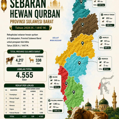 Qurban Menguatkan Solidaritas Umat, Sulbar Catat 4.555 Hewan Kurban pada Iduladha 1447 H